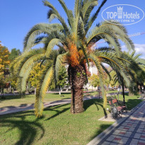 фото из отзыва ID 2658798