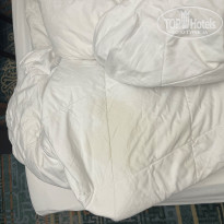 фото из отзыва ID 2658834