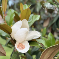 фото из отзыва ID 2658875