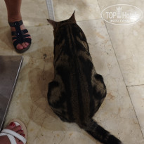 фото из отзыва ID 2658866