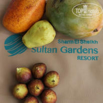 фото из отзыва ID 2658934