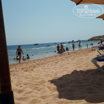 фото из отзыва ID 2658934