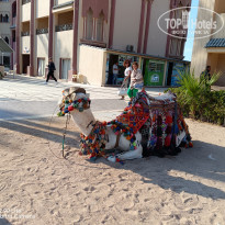 фото из отзыва ID 2658983