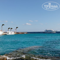 фото из отзыва ID 2658983