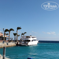 фото из отзыва ID 2658983