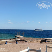 фото из отзыва ID 2658983