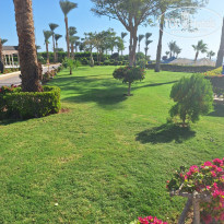 фото из отзыва ID 2659012