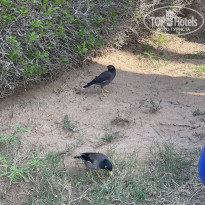 фото из отзыва ID 2659042