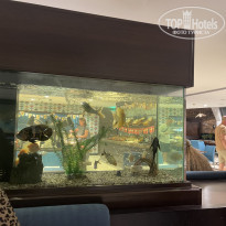 фото из отзыва ID 2659042