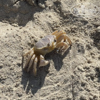 фото из отзыва ID 2659042