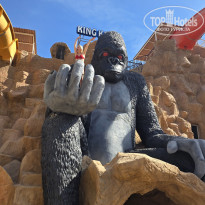 фото из отзыва ID 2659069