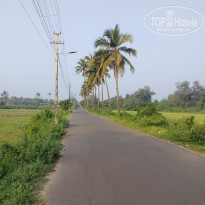 фото из отзыва ID 2659158