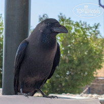 фото из отзыва ID 2659173