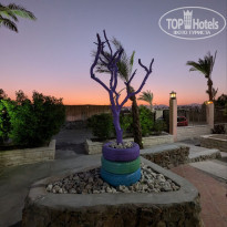 фото из отзыва ID 2659173