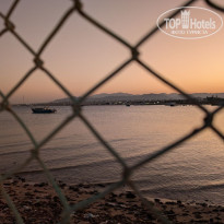 фото из отзыва ID 2659173