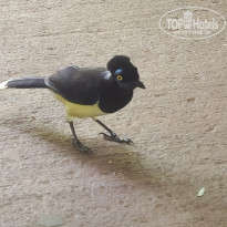 фото из отзыва ID 2659179