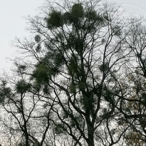 фото из отзыва ID 2659215