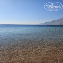 фото из отзыва ID 2659258