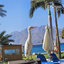 фото из отзыва ID 2659258