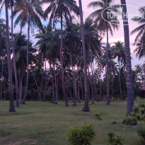 фото из отзыва ID 2659276