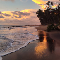 фото из отзыва ID 2659276