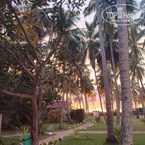 фото из отзыва ID 2659276