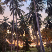 фото из отзыва ID 2659276