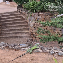 фото из отзыва ID 2659306