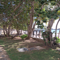 фото из отзыва ID 2659306