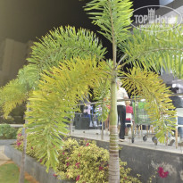 фото из отзыва ID 2659306