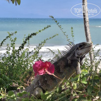 фото из отзыва ID 2659306