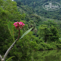 фото из отзыва ID 2659267