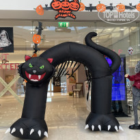 фото из отзыва ID 2659374