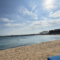 фото из отзыва ID 2659379