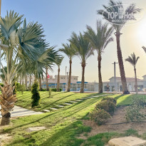 фото из отзыва ID 2659379