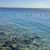 фото из отзыва ID 2659379