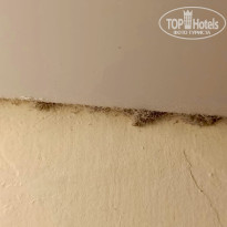 фото из отзыва ID 2659391