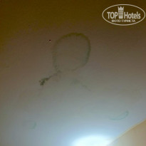 фото из отзыва ID 2659391