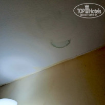 фото из отзыва ID 2659391