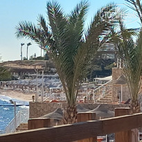 фото из отзыва ID 2659401