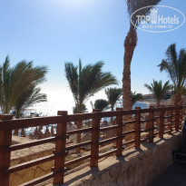 фото из отзыва ID 2659401