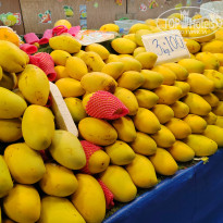 фото из отзыва ID 2659109