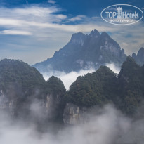 фото из отзыва ID 2659437