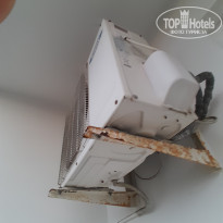 фото из отзыва ID 2659440