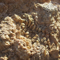 фото из отзыва ID 2659493