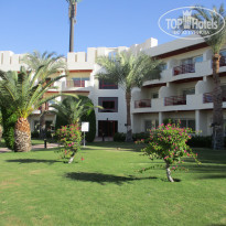 фото из отзыва ID 2659493