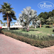 фото из отзыва ID 2659493