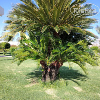 фото из отзыва ID 2659493