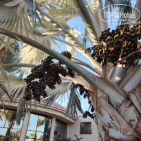 фото из отзыва ID 2659493