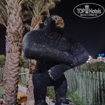 фото из отзыва ID 2659493